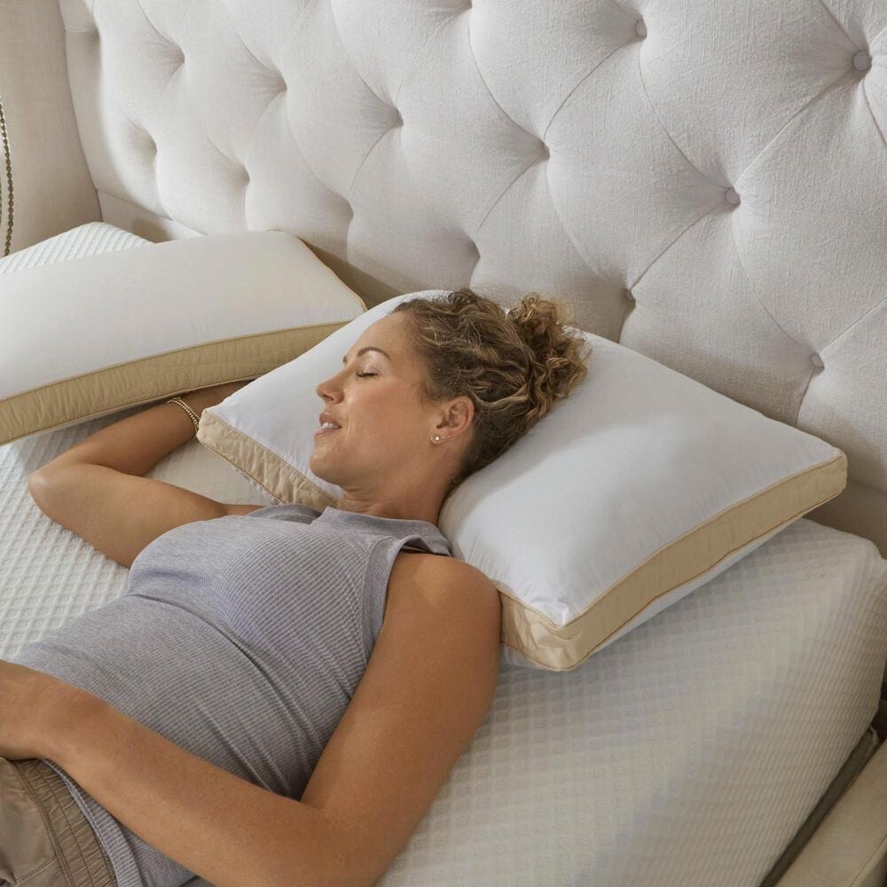 Isotonic Hybrid Bliss Memory Foam and Richloft Fiber Foam Core Queen Pillow, , large