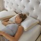 Isotonic Hybrid Bliss Memory Foam and Richloft Fiber Foam Core Queen Pillow, , large
