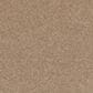 Mohawk Quality Life Carpet in Midsummer Light, , large