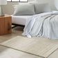 Nourison Abrash 2" x 3" Grey Area Rug, , large