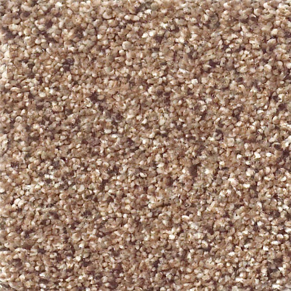 Shaw Foundations Take The Floor Accent I Carpet in Baltic Brown, , large