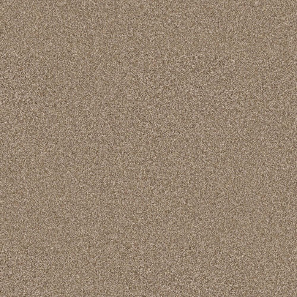 Shaw You Got This I Carpet in Worn Path, , large