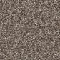 Shaw You Got This III Carpet in Cobblestone, , large