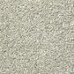 Shaw Find Your Comfort NS II Carpet in Willow Tree, , large