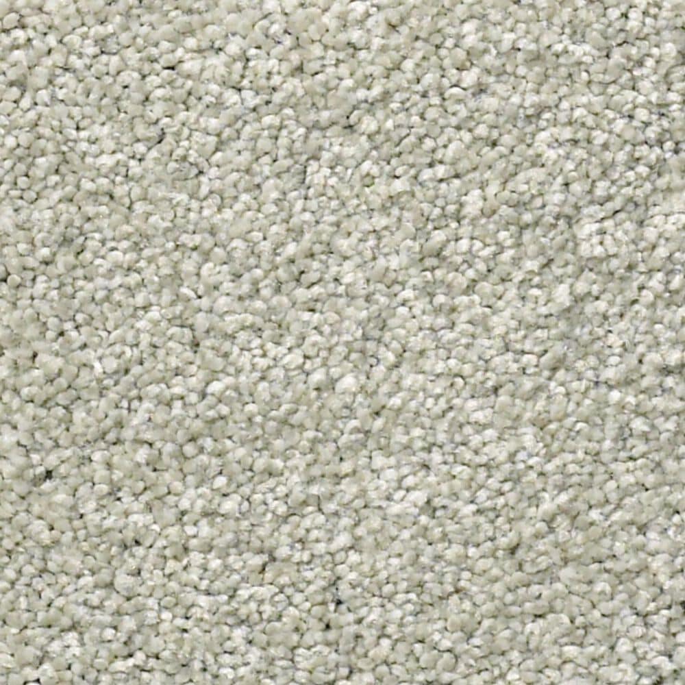 Shaw Find Your Comfort NS II Carpet in Willow Tree, , large