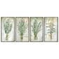 Paragon Herbs 25" x 13" Wall Art in Green (Set of 4), , large