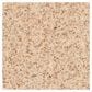 Dixie Home Paula Carpet in Whisper Bluff, , large