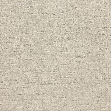 Dixie Home Courage Carpet in First Choice, , large