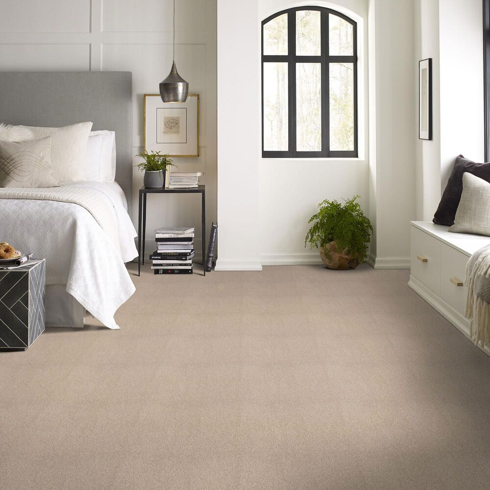 Shaw Comforting I Carpet in Mesa, , large