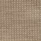 Masland Wonderwall Carpet in Spirited, , large