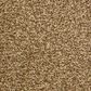 Dixie Home Carefree Carpet in High Point, , large