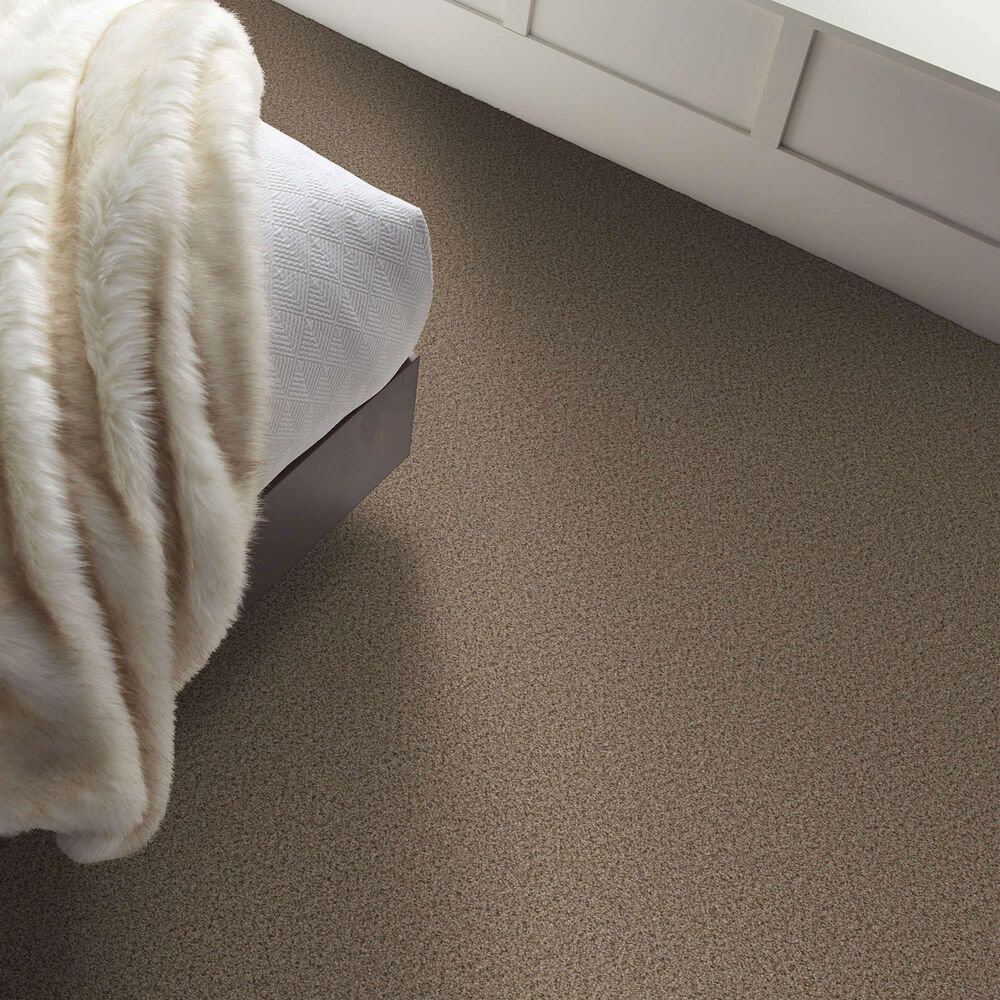 Shaw Abilene I Carpet in Arrowhead, , large