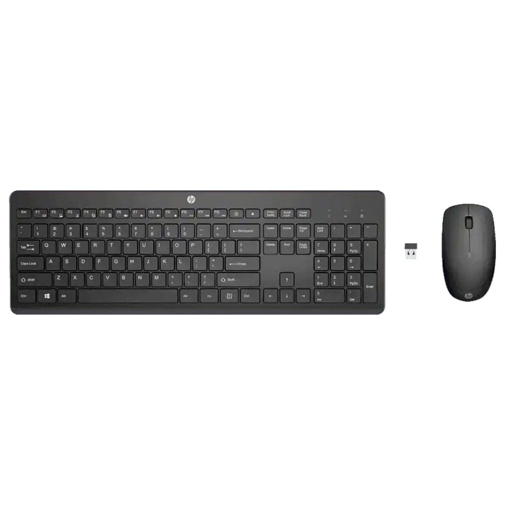 HP 230 Wireless in Combo and Keyboard Mouse | NFM Black