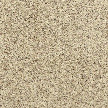 Dixie Home Simplicity Carpet in Pebble Mosaic, , large