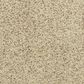 Dixie Home Simplicity Carpet in Pebble Mosaic, , large