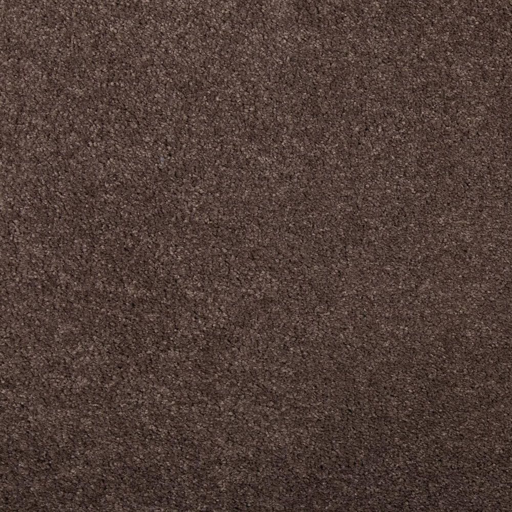 Mohawk Luxuriant Life Carpet in Fortress, , large