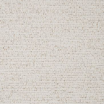 Dixie Home Worthington Carpet in Assuming, , large