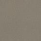 Phenix Amarillo Carpet in District, , large
