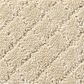 Anderson Tuftex Off Leash Carpet in Hazelnut, , large