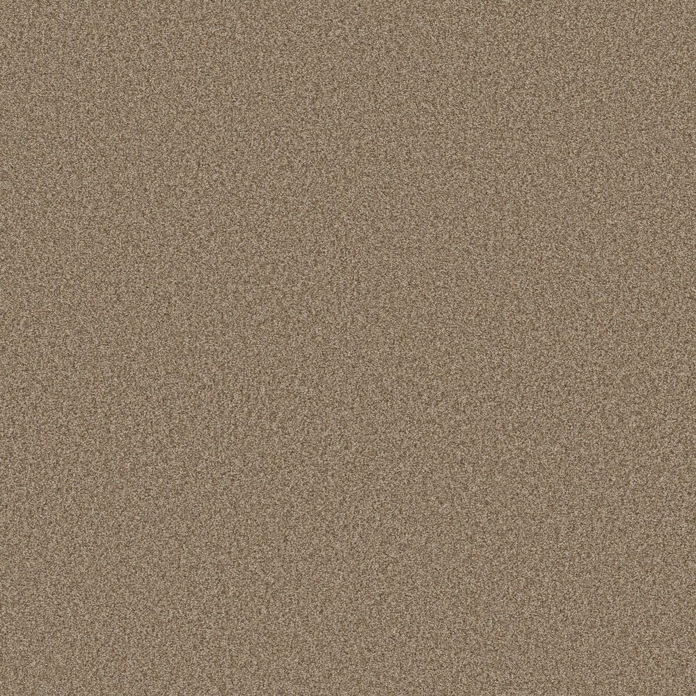 Shaw Tonal Comfort II Carpet in Falling Leaves, , large