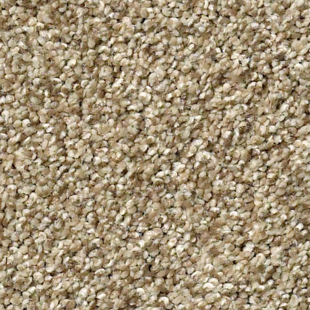 Shaw Tonal Comfort Ii Carpet in Honey Tea, , large