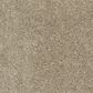 Shaw Barracan Classic I Carpet in Pecan Bark, , large