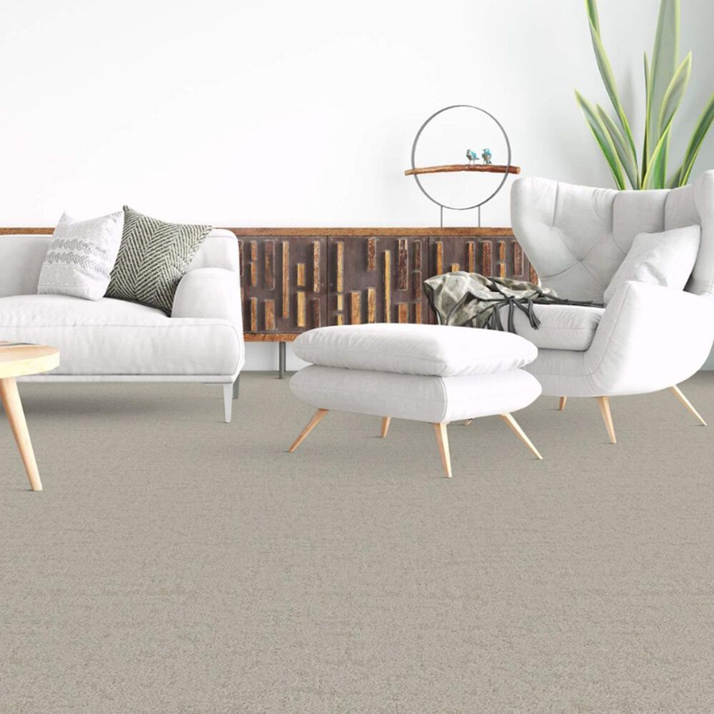 Dixie Home Genuine Carpet in Simplicity, , large