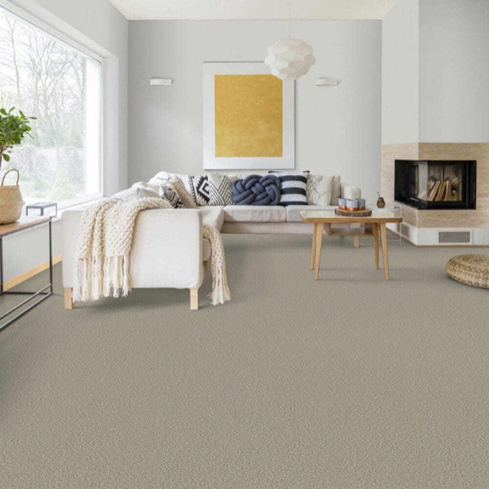 Dixie Home Riverbend Carpet in Opal, , large