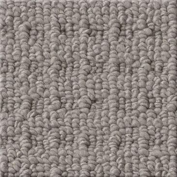 Shaw Framed View Carpet in Industrial, , large