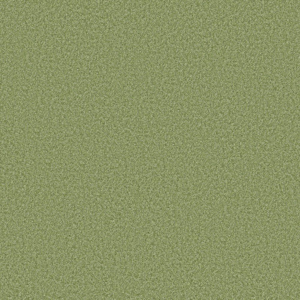 Shaw The Bright Side Carpet in Four Leaf Clover, , large