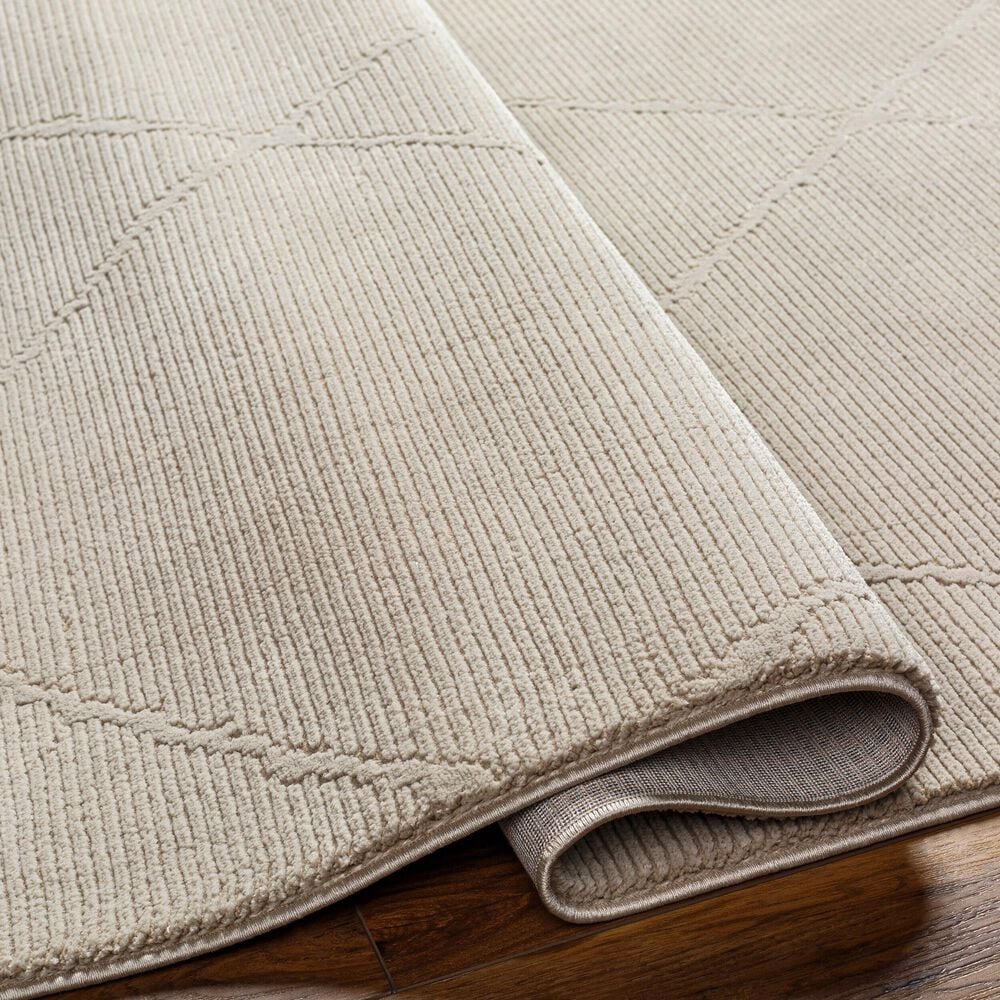 Surya Alder ALD-2301 1&#39;11&quot; x 3&#39;9&quot; Taupe and Tan Area Rug, , large