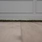 RIZZY Cosgrove Green 3" x 5" Area Rug, , large
