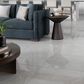 Distributer Sterlina II Gray 24" x 24" Polished Porcelain Tile, , large