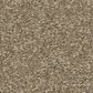 Shaw Way To Go I Carpet in Hidden Treasure, , large