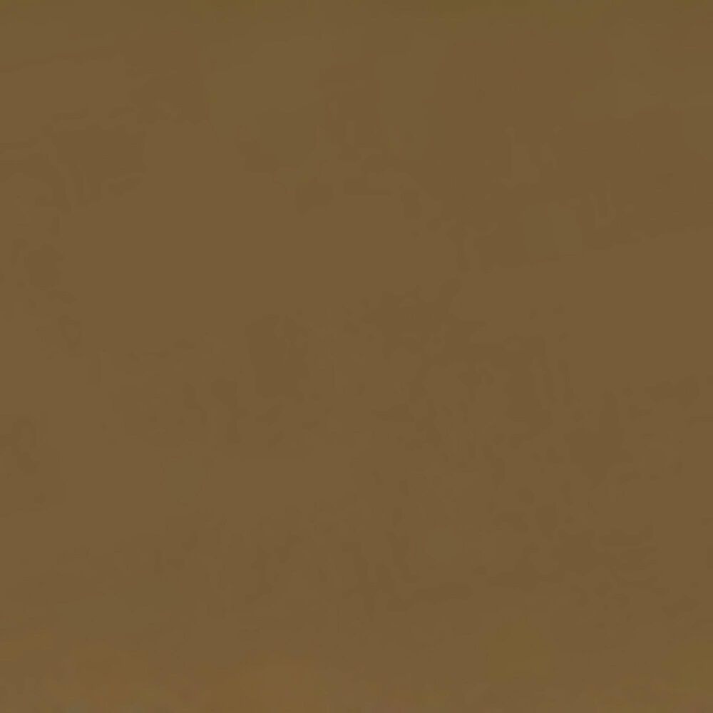 Furniture of America Blair Full Slat Bed in Gold, , large