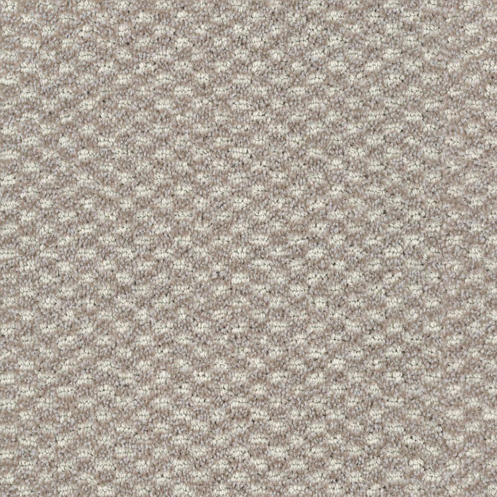 Dixie Home Soft Touch Carpet in Poise, , large