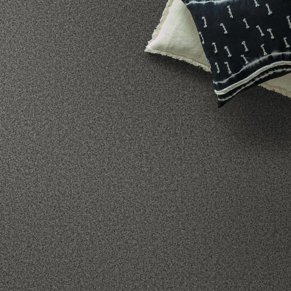 Anderson Tuftex Avalon Bay Carpet in Rock Bottom, , large