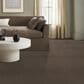 Anderson Tuftex Luxe Feel I Carpet in Mesquite, , large