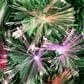 The Gerson Company 4" High Color-Changing Christmas Tree in Multicolor, , large