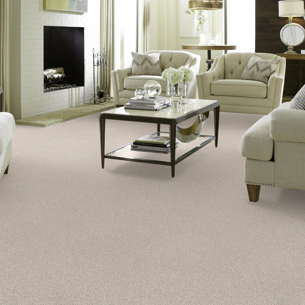 Shaw Foundations Take The Floor Tonal II Carpet in Statuary, , large