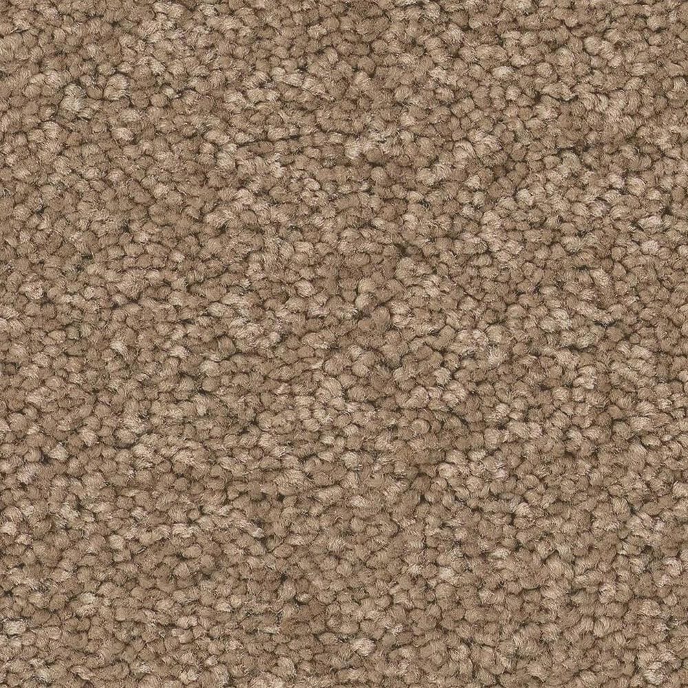 Anderson Tuftex Elegant Beauty Carpet in Latte, , large
