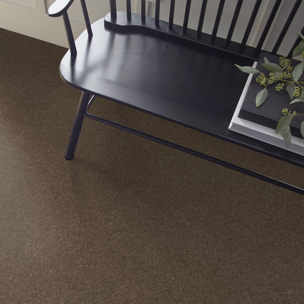 Shaw Hard At Play Iii Carpet in Mission Ridge, , large
