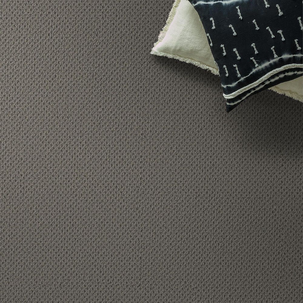 Anderson Tuftex Gracious Carpet in Intellectual, , large