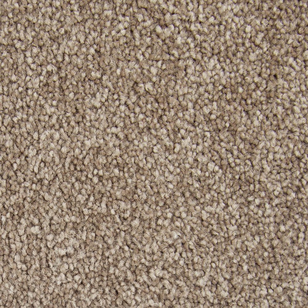 Mohawk Memorable View Carpet in Timerlane, , large