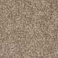 Mohawk Memorable View Carpet in Timerlane, , large