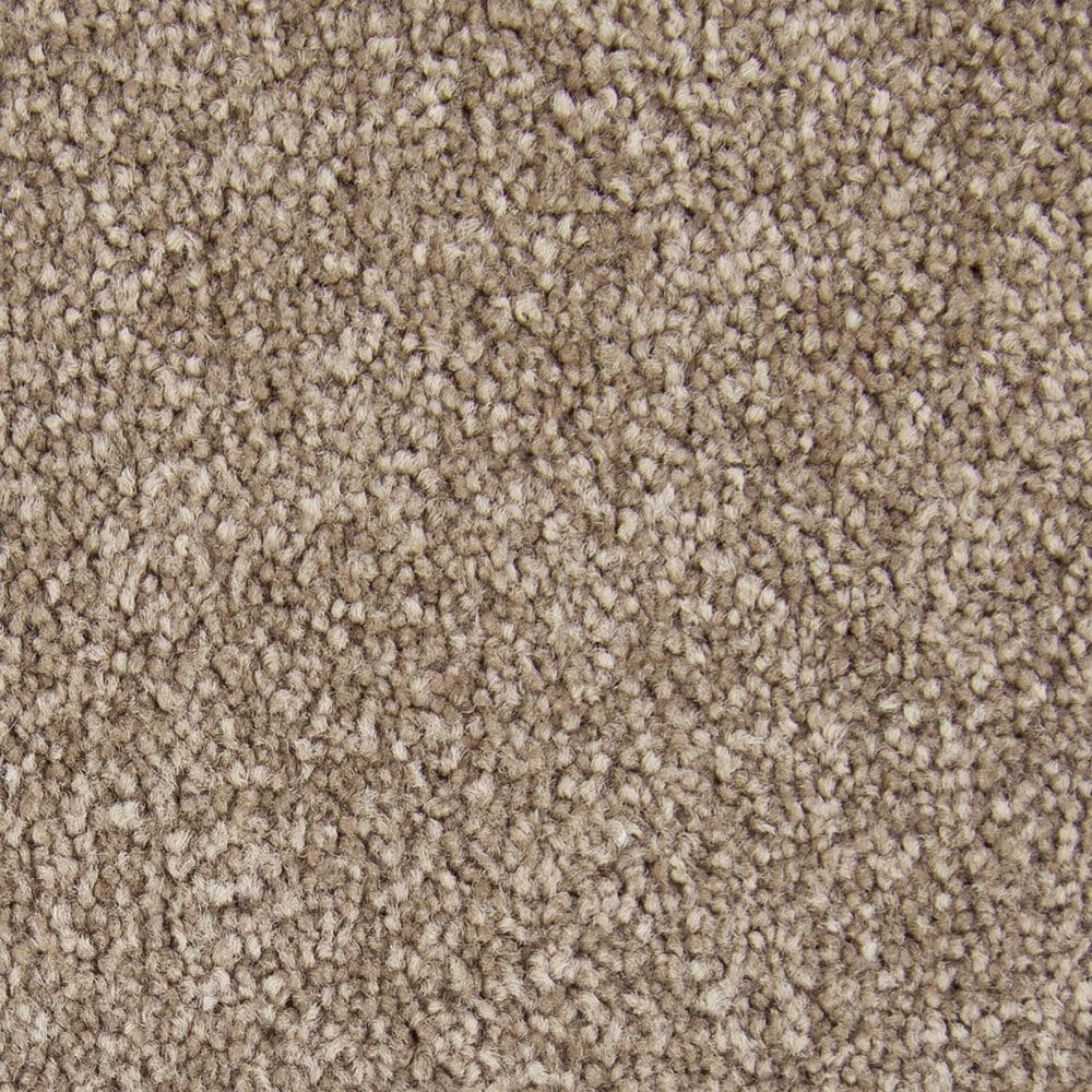 Mohawk Memorable View Carpet in Timerlane, , large