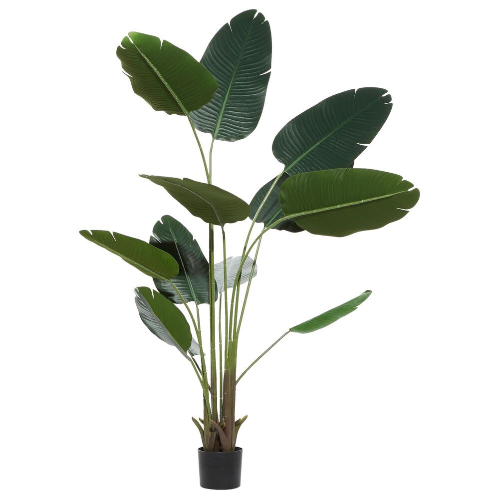 Maple and Jade 70&quot; Artificial Strelitziaceae Tree in Green, , large