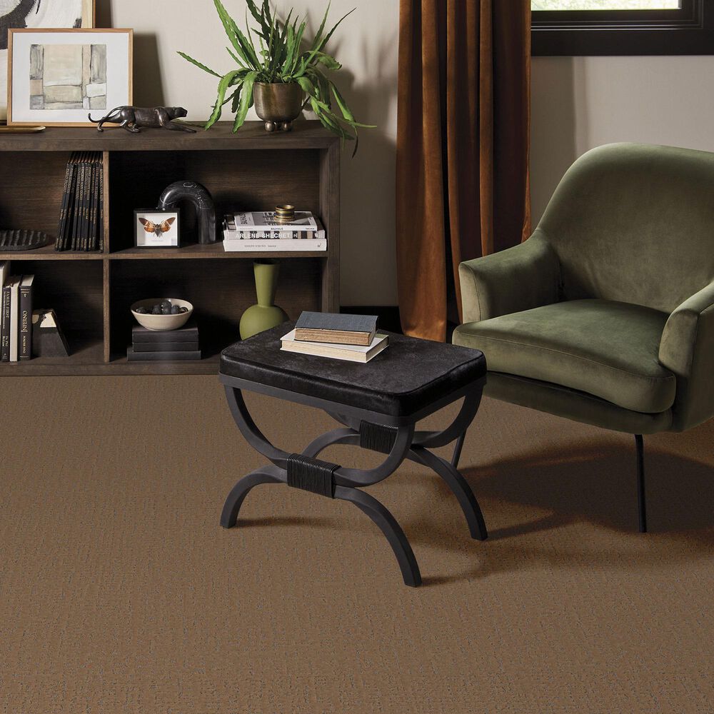 Anderson Tuftex Adair Carpet in Bourbon Classic, , large