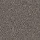 Dixie Home Herder Carpet in Frenchie, , large