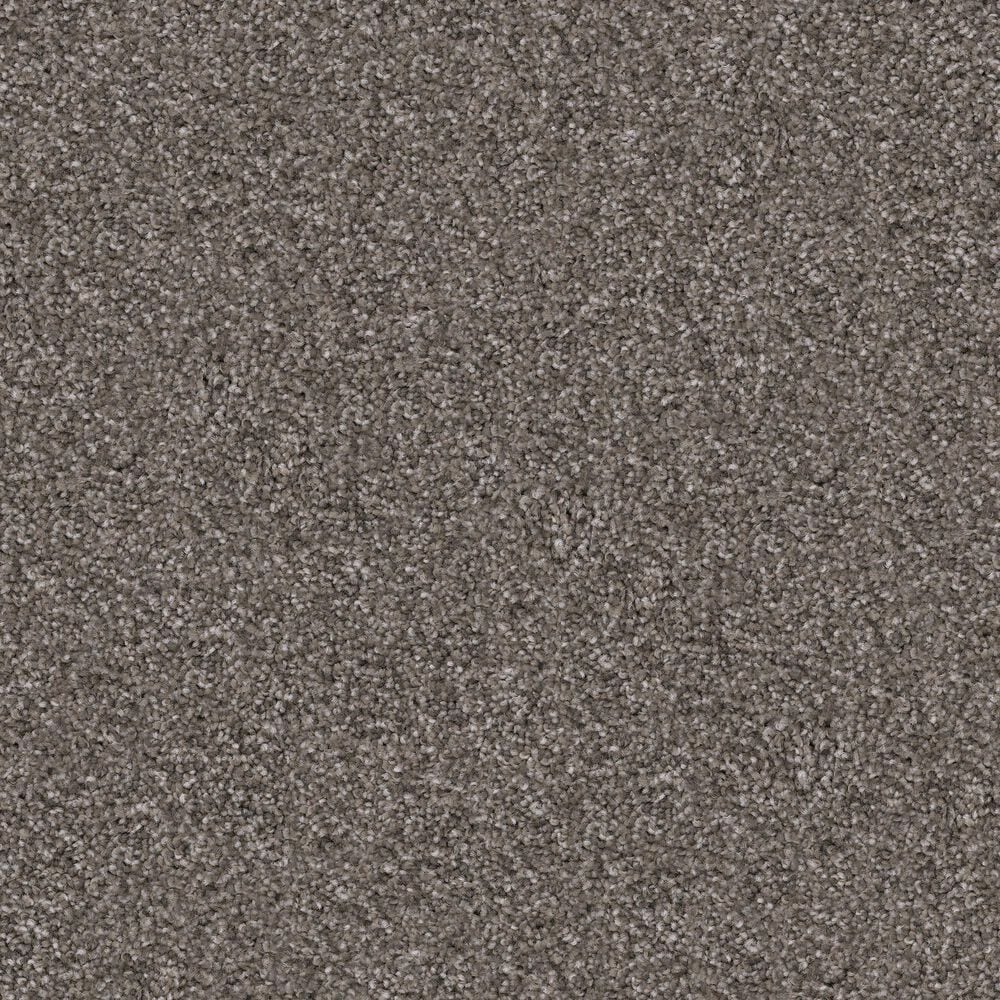 Dixie Home Herder Carpet in Frenchie, , large